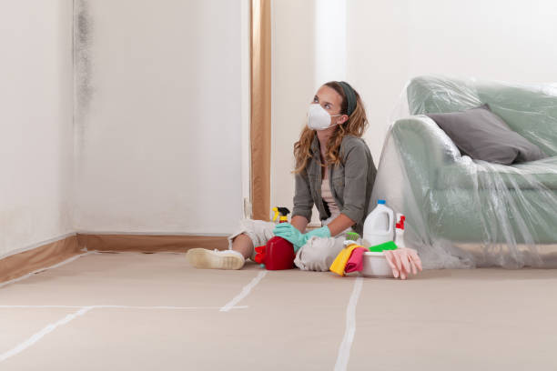 Reliable Black Mold Remediation contractor in Woodinville, WA by Car Mold Remediation